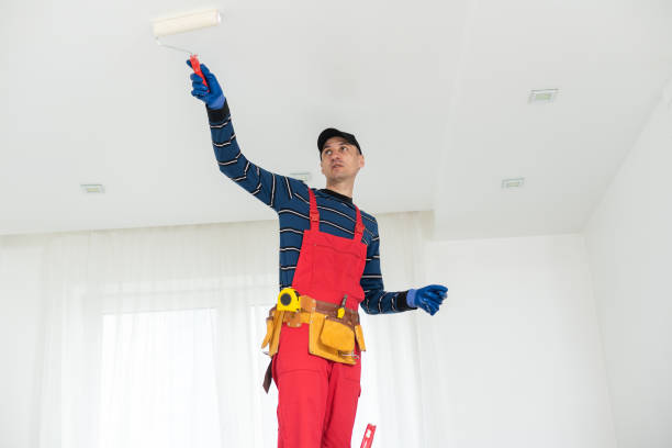 Best Residential Painting  in New Brighton, PA