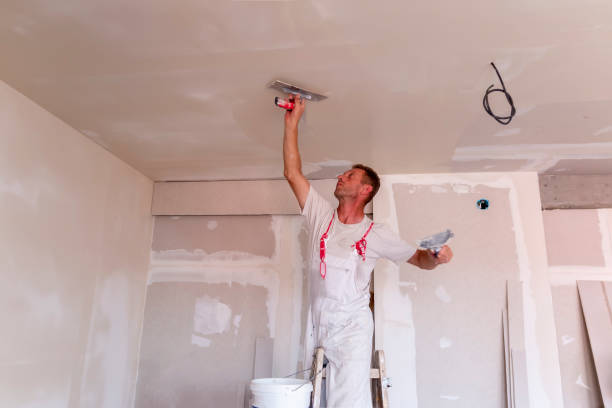 Best Drywall Installation  in New Brighton, PA